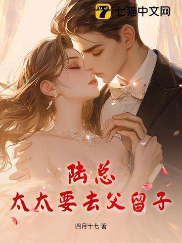 陆太太又在闹离婚免费阅读