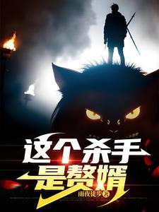 这个杀手是赘婿在线听书