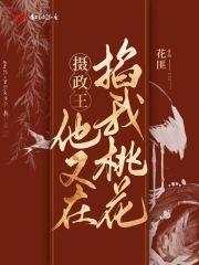 摄政王总掐我桃花