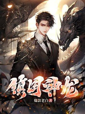 镇国神龙短剧合集